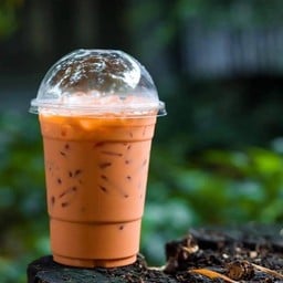 แมลงฉ่ำ - bugs bar