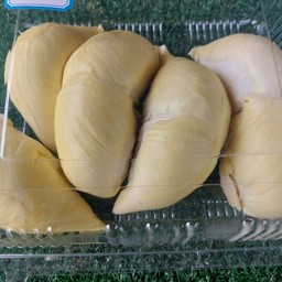 แจ็คทุเรียน พรีเมี่ยม