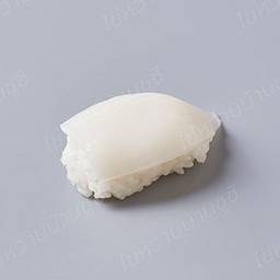 ซูชิหมึกหิมะ