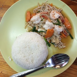 ข้าวราดผัดเห็ดเข็มทอง(เลือกเนื้อสัตว์)