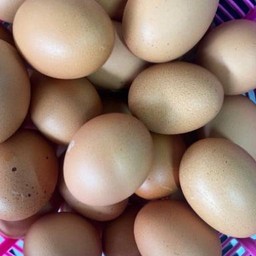 ไข่ลวก
