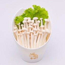 เห็ดชิเมจิขาว