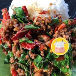 กะเพราเนื้อสับโคขุน 🐮