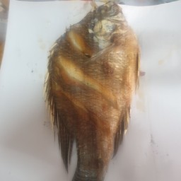 ปลานิลทอด เกลือ ตัวใหญ่