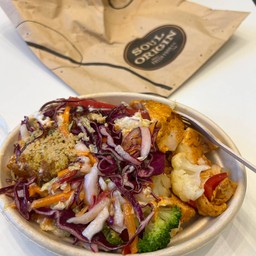 Soul Origin Galleria