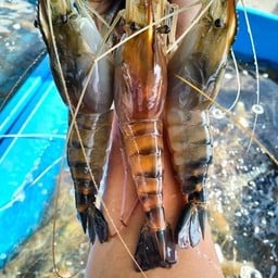 เสี่ยนนท์กุ้งเผา