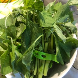 B207 ผักโขม (หนีบ)