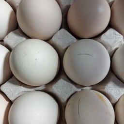 ยกครกบ้านเอื้อ 304