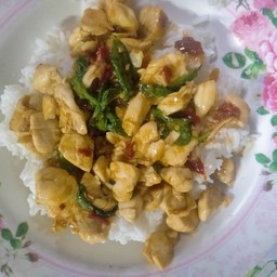 ข้าวผัดกะเพราอกไก่