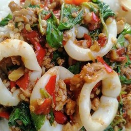 ข้าวกระเพราหมูสับปลาหมึก