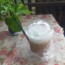 นกแก้ว คอฟฟี่