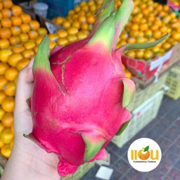 แก้วมังกร สีขาว kg