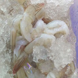 เพิ่มกุ้งสด