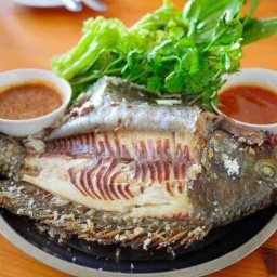 ปลาอบโอ่ง นำ้จิ้มรสเด็ด ส้มตำ กระเพรา