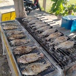 ปลาเผา