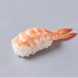 ซูชิกุ้ง-