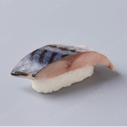 ซูชิซาบะดอง-