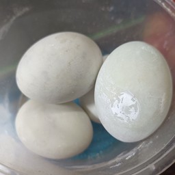ไข่เค็ม