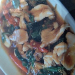 Free-Ranged Chicken Breast กระเพราอกไก่
