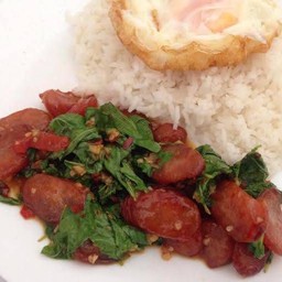 ข้าวกะเพรากุนเชียง