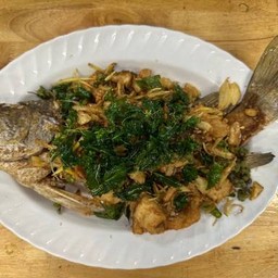 ปลากระพงทอดสมุนไพร