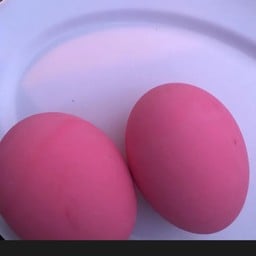 ไข่ เยี่ยวม้า