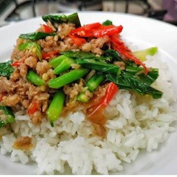 ผัดคะน้าหมู ราดข้าว