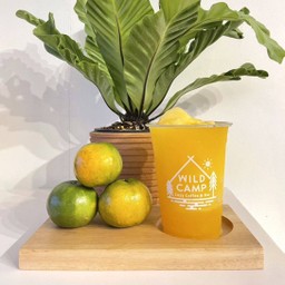 Orange Smoothie