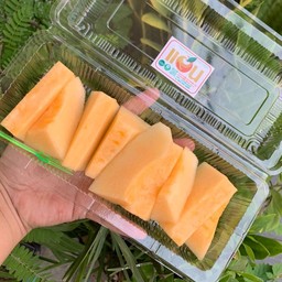 เมล่อน ทิเบต พร้อมทาน