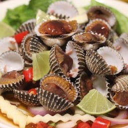 ยำหอยแครง