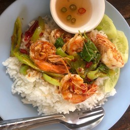 กะเพรากุ้งราดข้าว