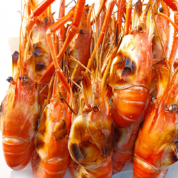 กุ้งเมียไข่-หัวแก้ว