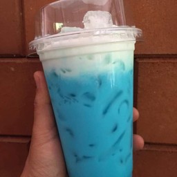 บลูนมสด