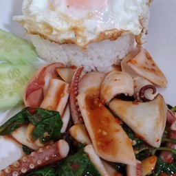 ข้าวราดกระเพราปลาหมึก+ไข่ดาว