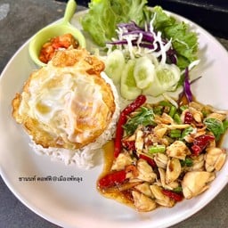 ข้าวกระเพราปู