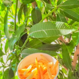 ของกินง่ายๆ สไตล์เด็กหอ ร้านอยู่ กัญญภัทร อพาร์ทเม้นท์ หอพักสีม่วง ท้ายหมู่บ้าน