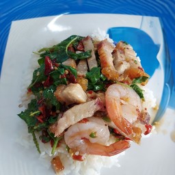 กระเพราหมูกรอบ+กุ้ง