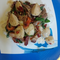 กระเพราหมูกรอบ+ลูกชิ้น