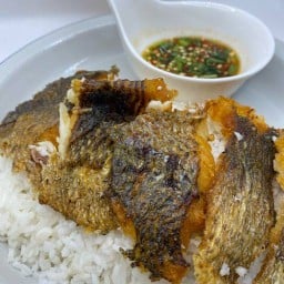 ข้าวหมูทอดอร่อยมากคอนโดเดอะทรี