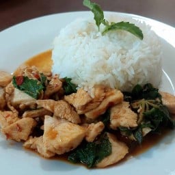 กะเพรากอไก่ -