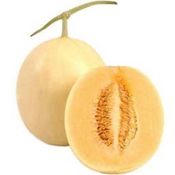 แคนตาลูป