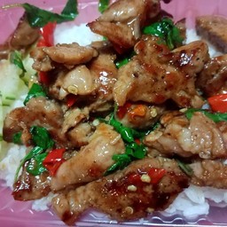 ผัดกระเพรา ราดข้าว _ไก่_หมู_เนื้อ_กุ้ง_ปลาหมึก_ทะเล_รวมมิตร_หมูย่างพริกไทยดำ_ไก่ย่างพริกไทยดำ