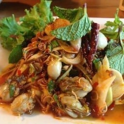 พล่าหอยนางรม