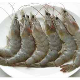 กุ้งสด