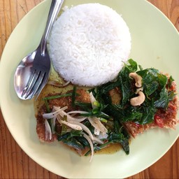 ข้าวปลาสองร่าง