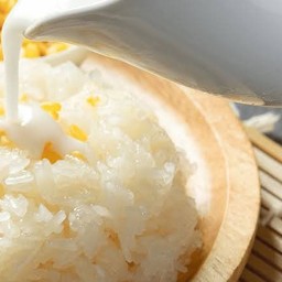 ข้าวเหนียวมูล คุณแมว