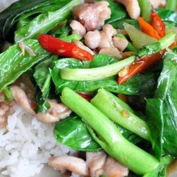 ผัดผักคะน้าหมูสับ