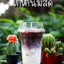 โกโก้นมสด