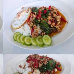 คุณน้องกะเพรา คุณน้องกะเพรา