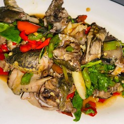 กบผัดกระเพรา